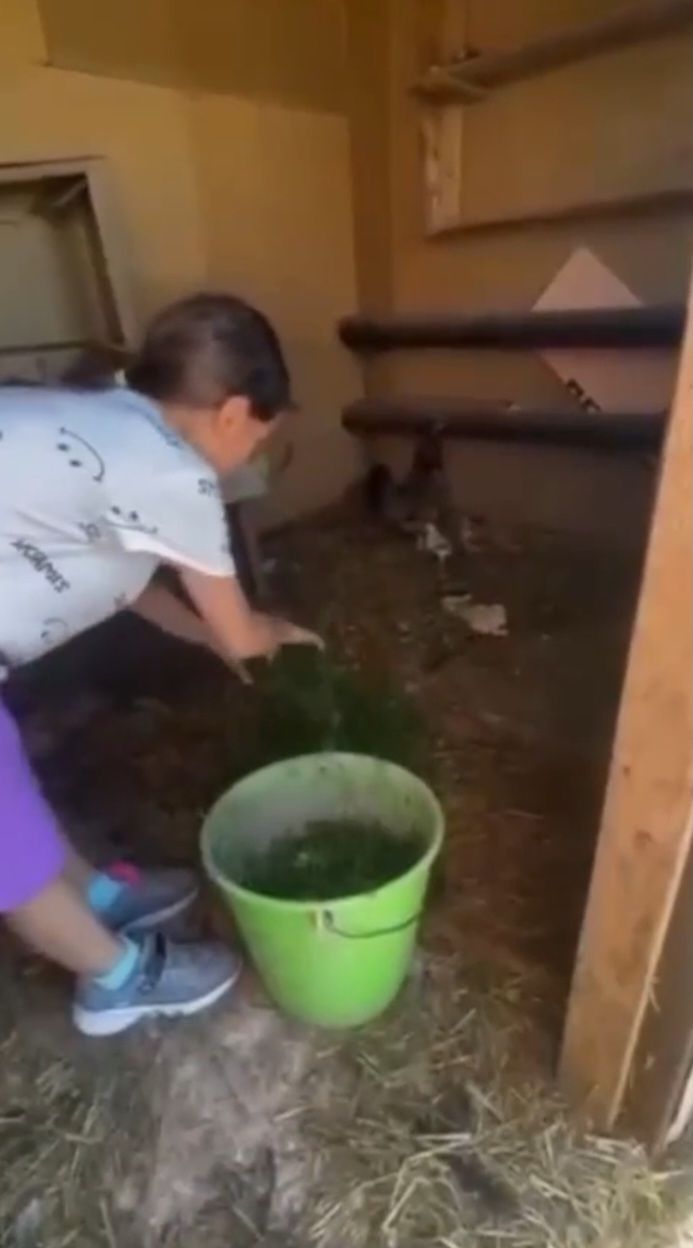 Как  Файзрахмановы проводят лето