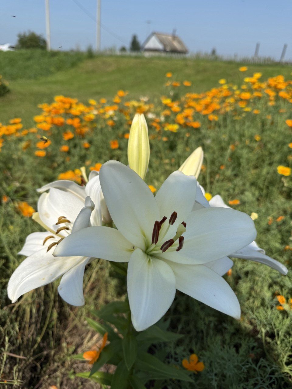 Доброе утро! 🌞