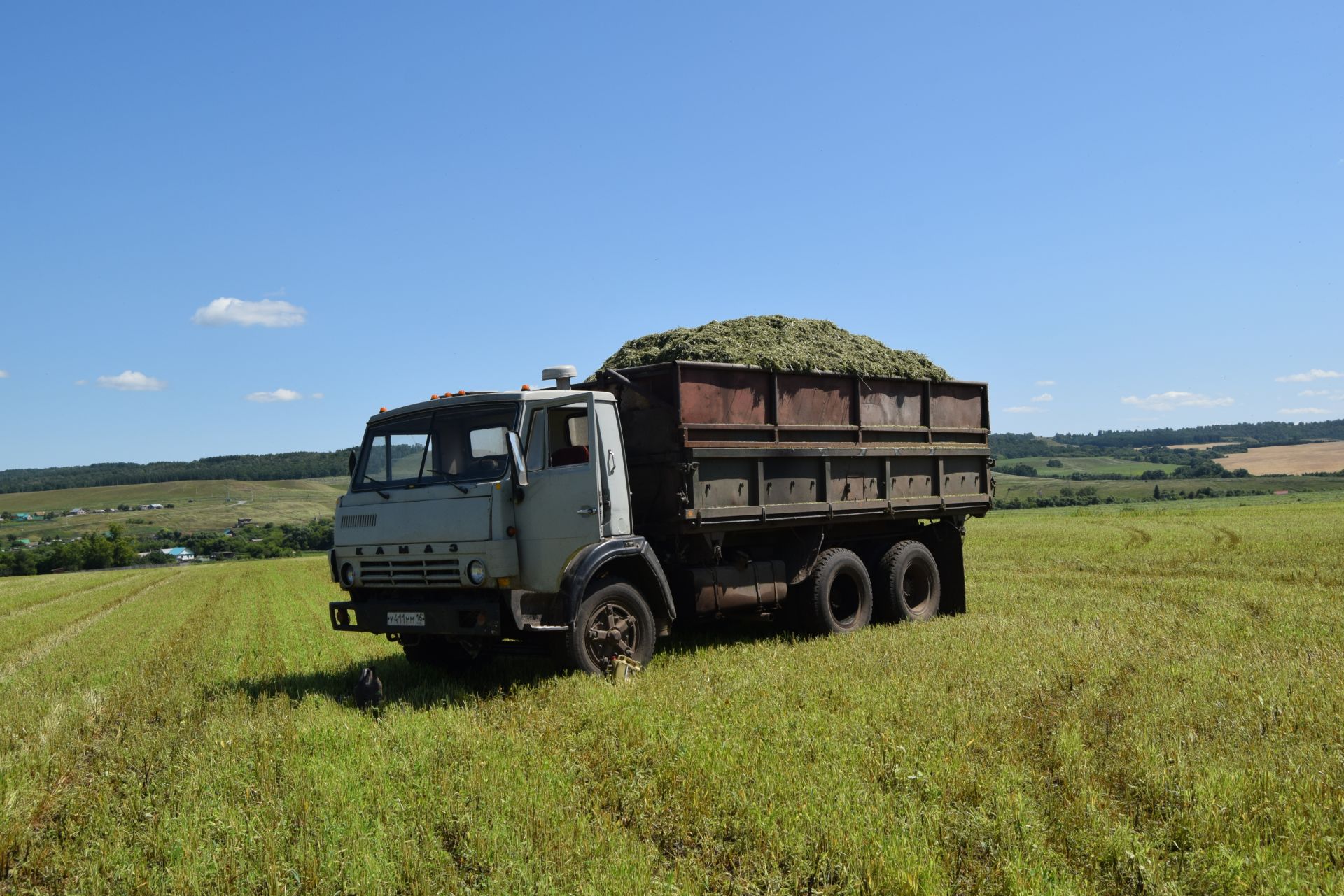 Ютазинские аграрии – универсалы