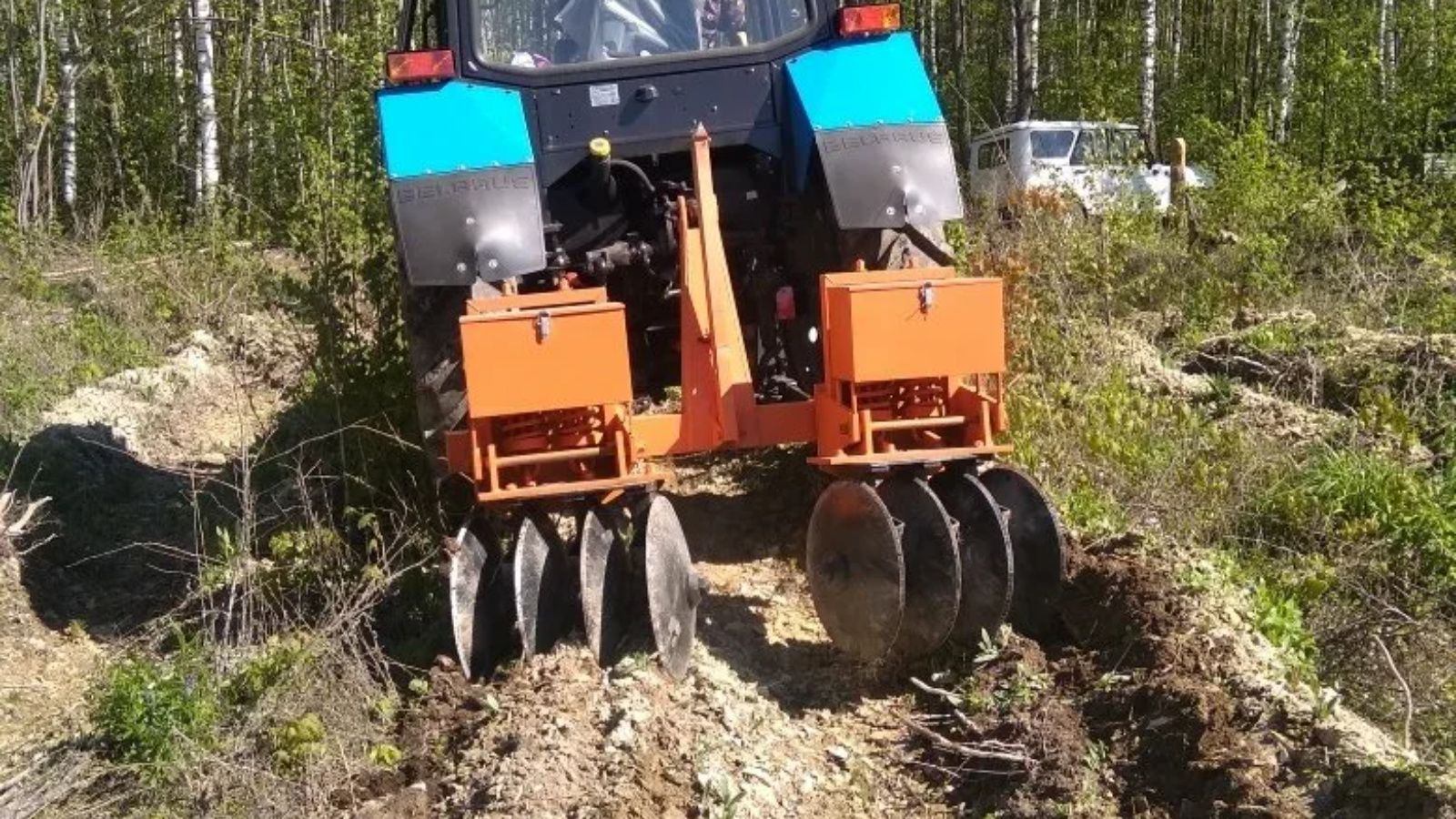 В Татарстане проведены мероприятия по агротехническому уходу за лесными насаждениями на 11,3 тысячах гектаров