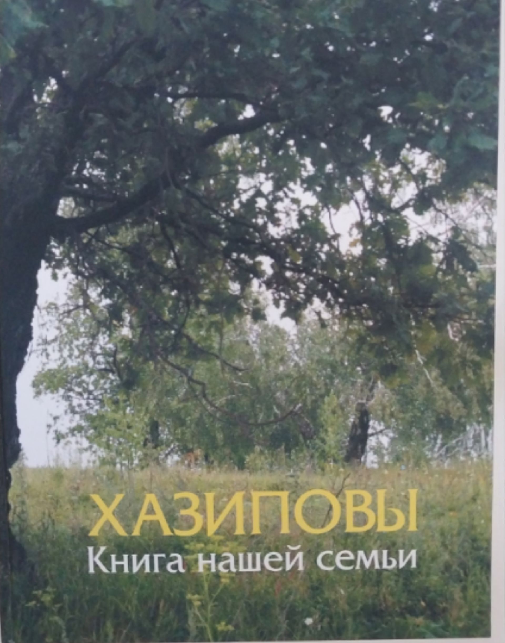Уникальная семейная хроника Хазиповых пополнила фонды Каракашлинского музея
