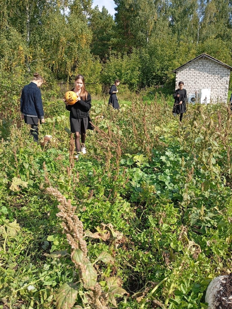 Уроки, которые учат ценить природу: опыт юных аграриев