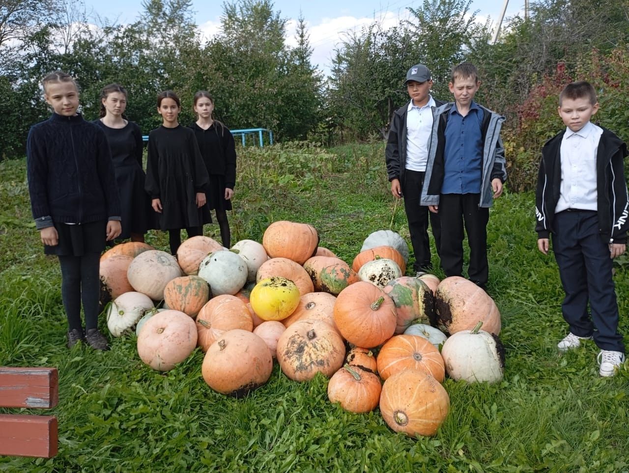 Уроки, которые учат ценить природу: опыт юных аграриев
