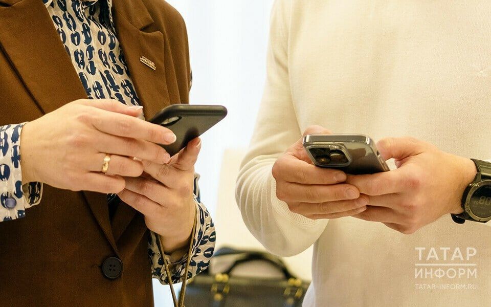 В Госдуме анонсировали разработку двух новых законов против мошенничества