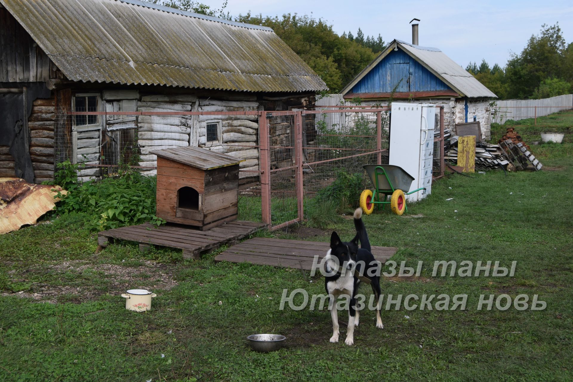 Чего хотят каркалинцы?