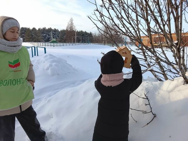 «Тёплые сердца» помогают пернатым пережить холода