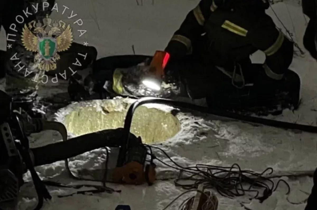 Менделеевскийда балалар үлеменә китергән  коеның хуҗасы табылган