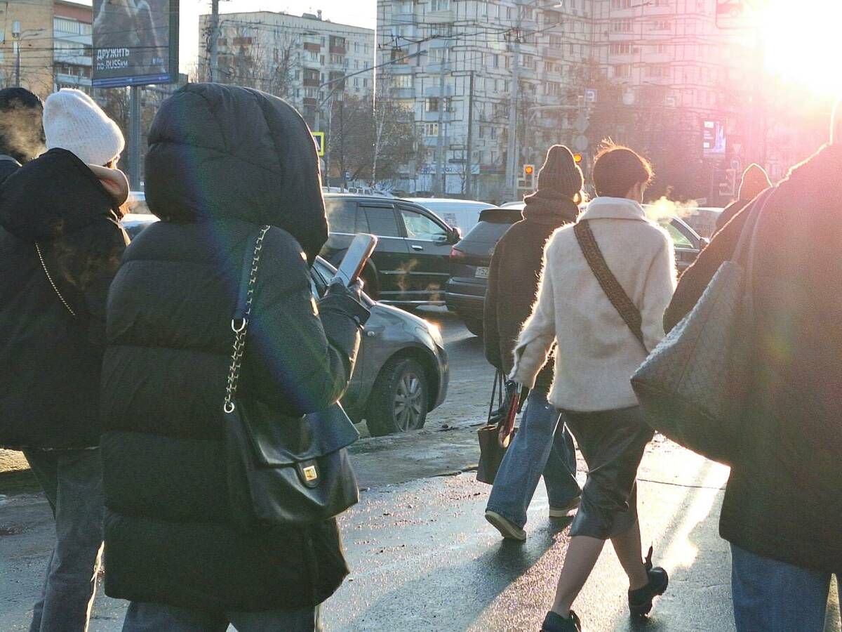 Как избежать обмана в праздничной суете