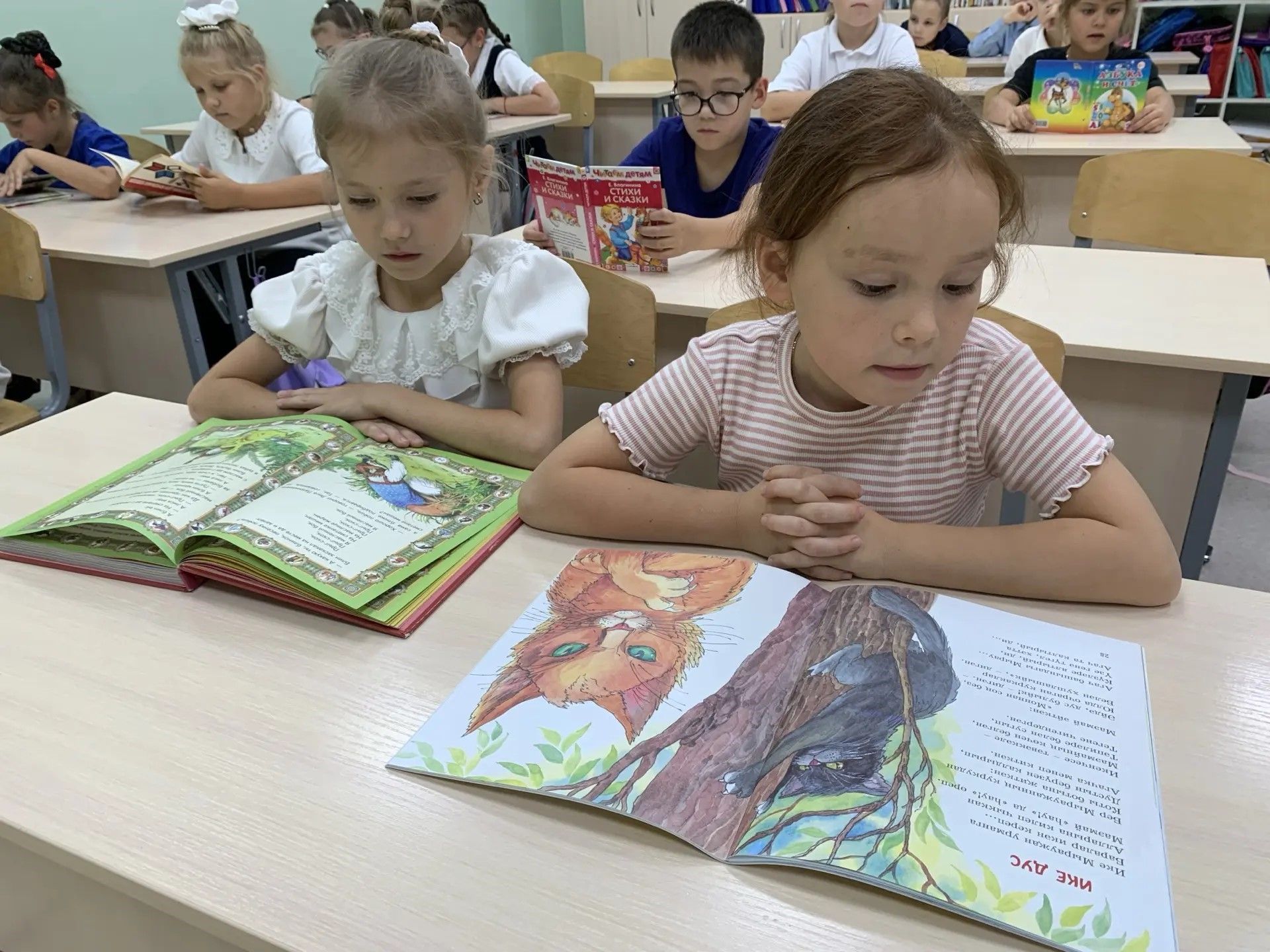 Книга в руке дарует мир сердцу