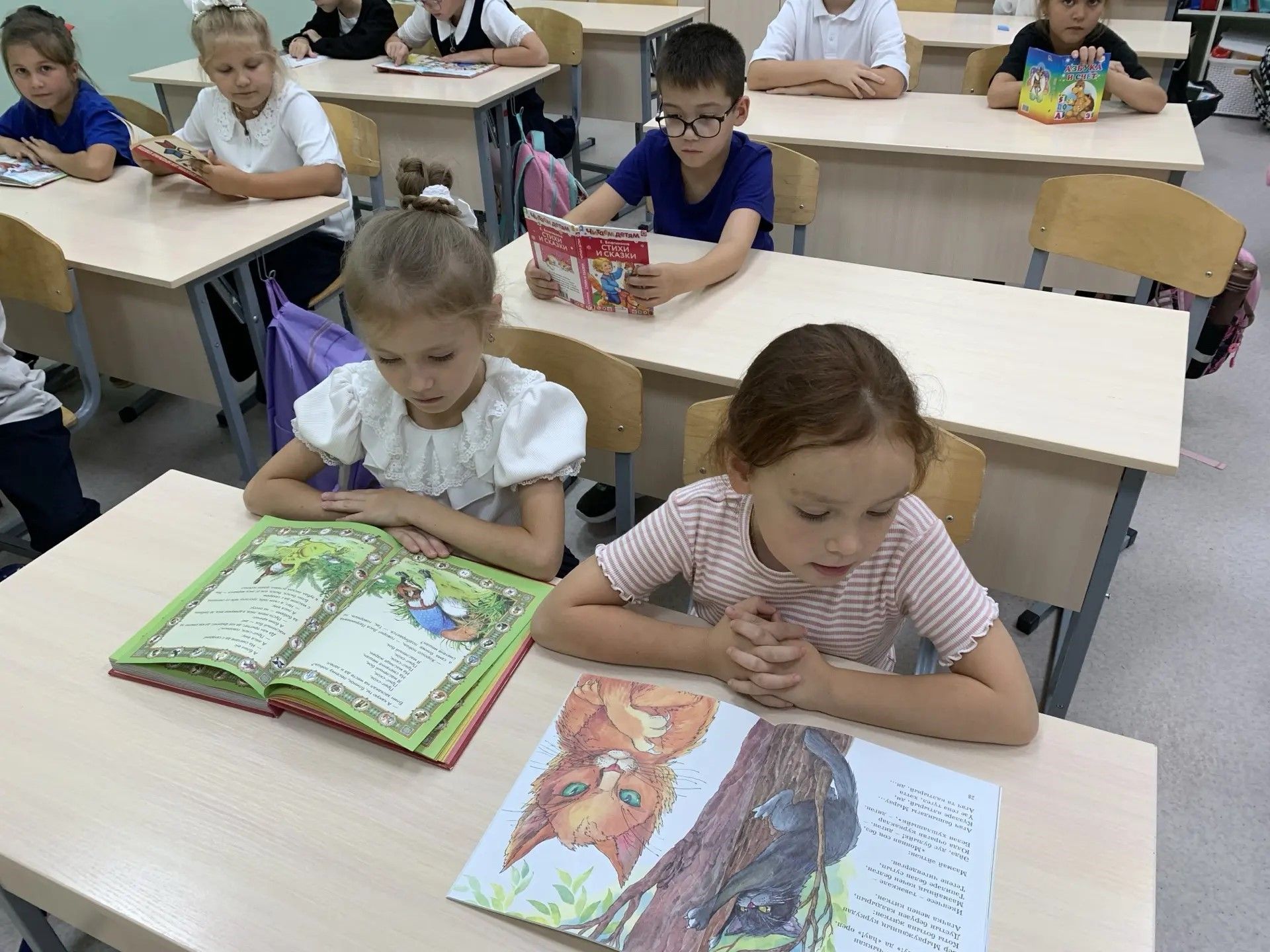 Книга в руке дарует мир сердцу
