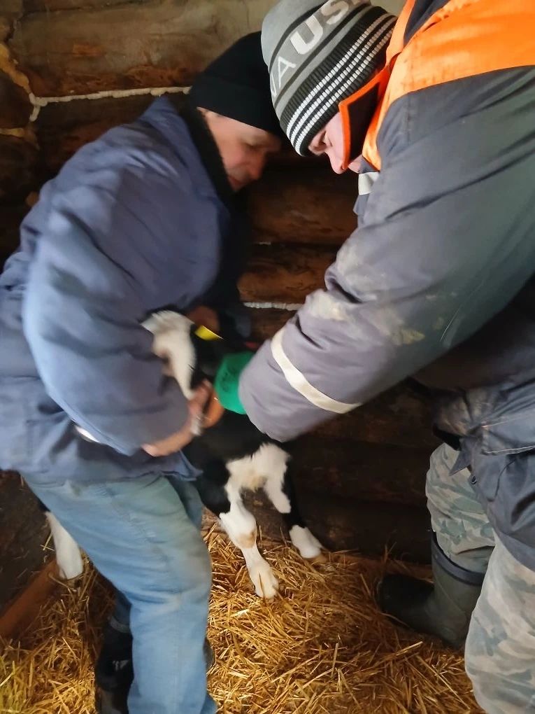 Весенняя кампания Ютазинского РГВО