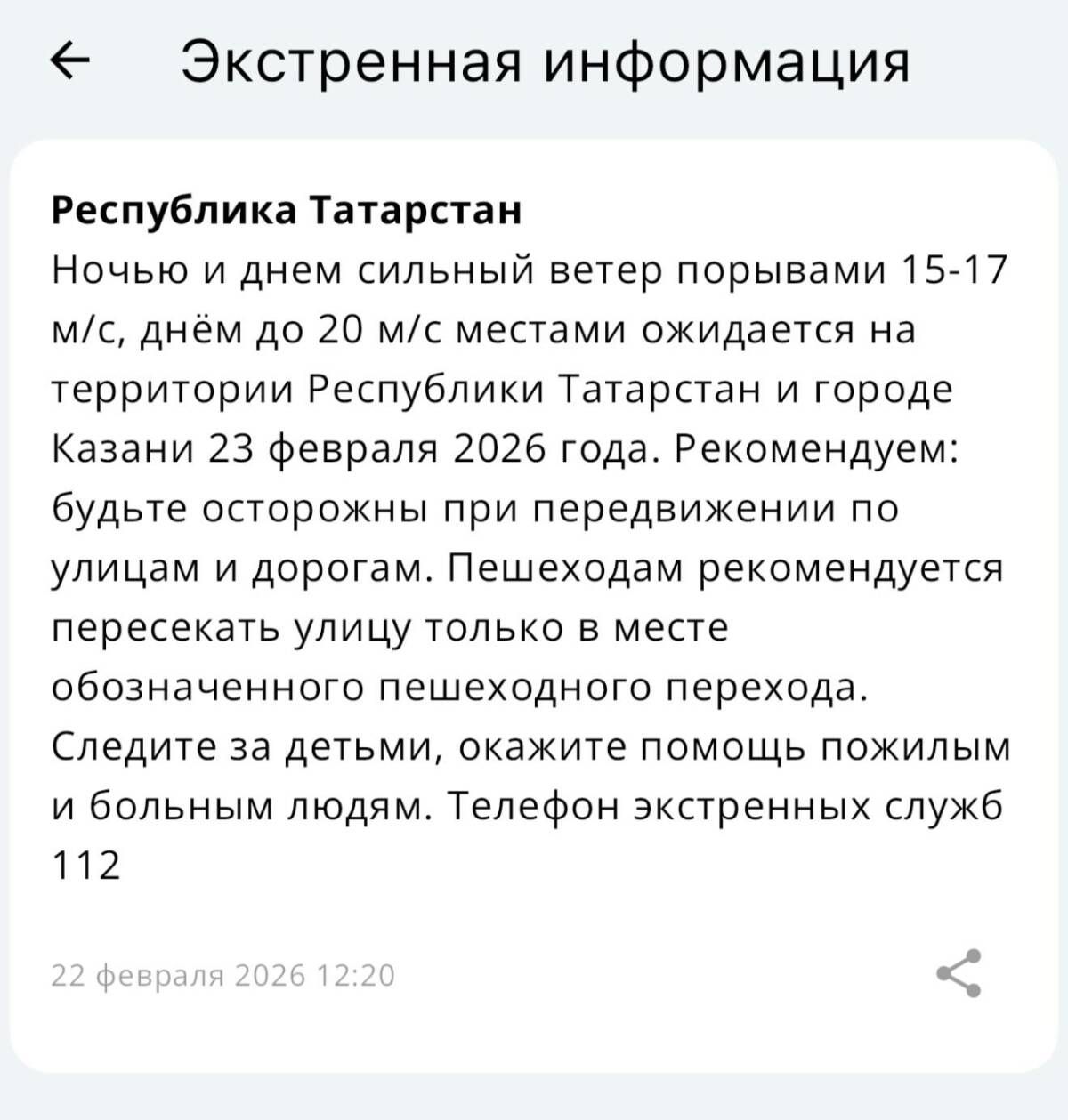 Сильный ветер ожидается в Татарстане 23 февраля
