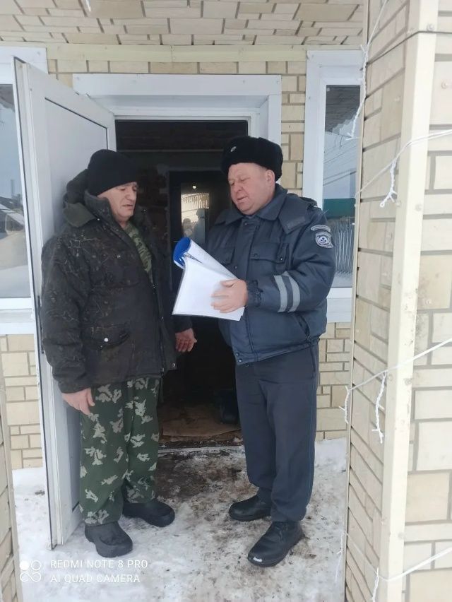 Ветеринары проверили, как владельцы собак соблюдают закон о чипировании