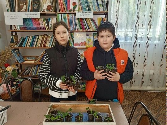 «Мастерицы» вырастят томаты с именами
