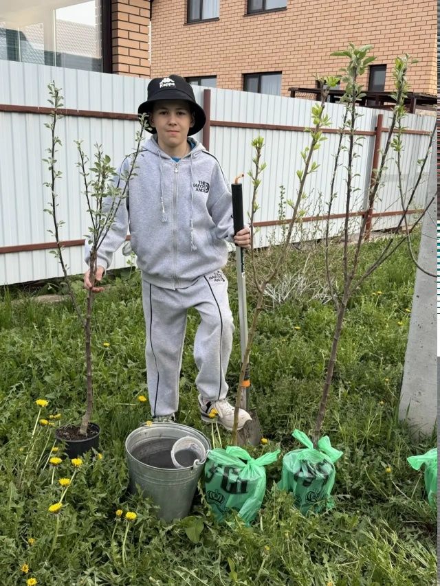 Память в каждом саженце