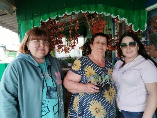 Тепло в каждый дом: рассада для семей героев