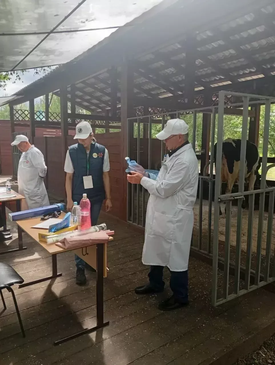 Хайваннар сәламәтлеге турындагы хәстәрлек белән – район иминлегенә