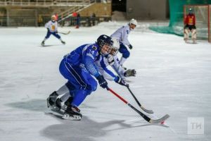 В рамках KazanForum пройдёт Международный хоккейный турнир среди исламских стран