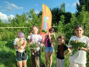 Как подружиться с лекарственными травами