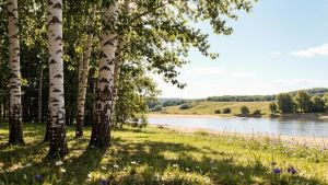 Читаем природу: народные приметы на 9 августа
