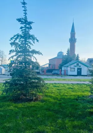 Начало дня — время для важных решений