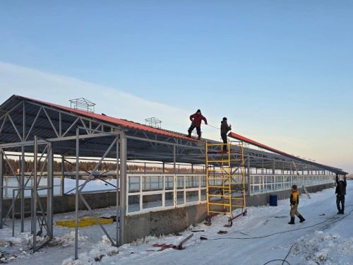 «Семейная ферма» Вафауллиных: новый телятник, новые горизонты