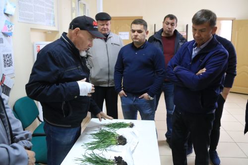 Ютазинские животноводы добились повышения продуктивности скота