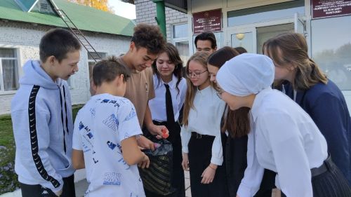 В Байрякинской СОШ старшеклассники побывали в роли учителей начальных классов