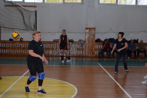 Соревнование по волейболу, посвящённое декаде Дня пожилых людей, прошло в СОК «Олимп»