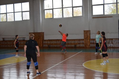 Соревнование по волейболу, посвящённое декаде Дня пожилых людей, прошло в СОК «Олимп»