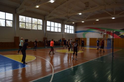 Соревнование по волейболу, посвящённое декаде Дня пожилых людей, прошло в СОК «Олимп»