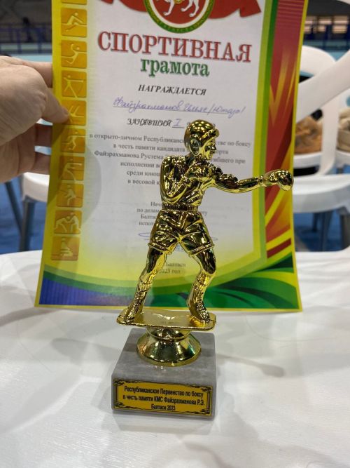 Уруссинские боксеры завоевали золото!