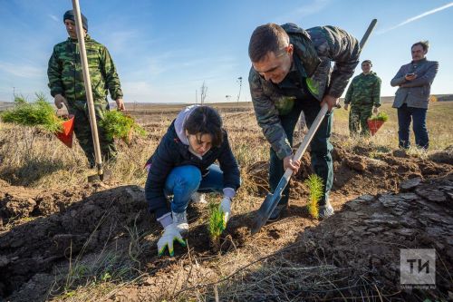 Все регионы России включились в акцию «Сохраним лес»