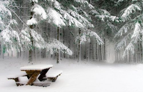 Прогноз погоды 12 февраля