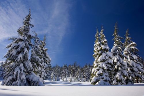 Прогноз погоды 14 февраля
