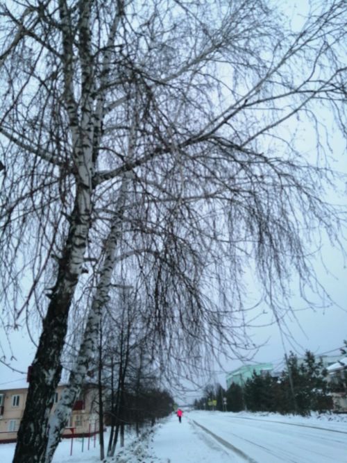 Уруссинцы и снегоуборочная техника дождались снега