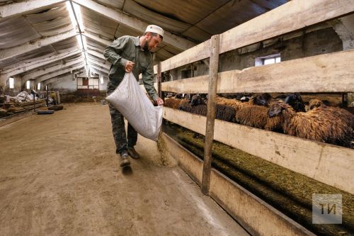 В Татарстане за двадцать лет из сел и деревень уехали 102 тысячи человек