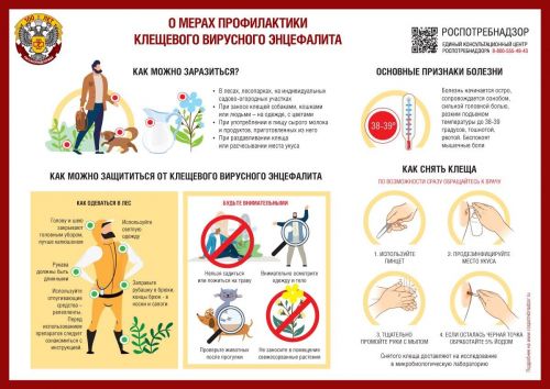 Средства от клещей - какими они бывают