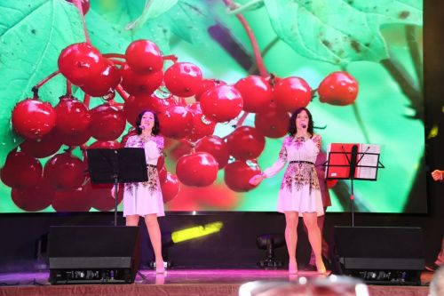 Вокальный ансамбль «Альянс» выступил с отчетным концертом