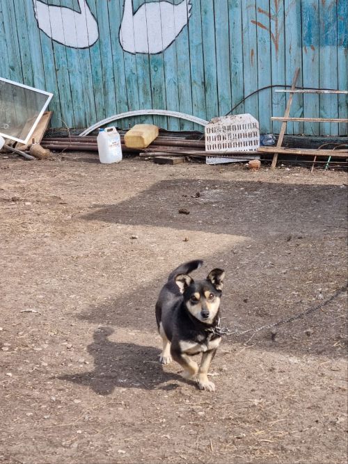 Ведь дом родной - начало всех начал