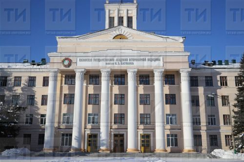 В вузах РТ введут новый курс «Основы российской государственности»