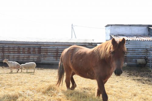 На полях района уже слышен гул тракторов