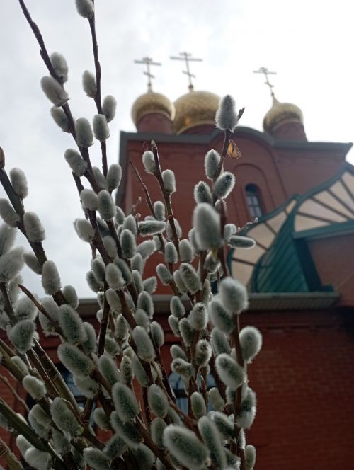 Вербное воскресенье в 2023 году: дата и традиции праздника