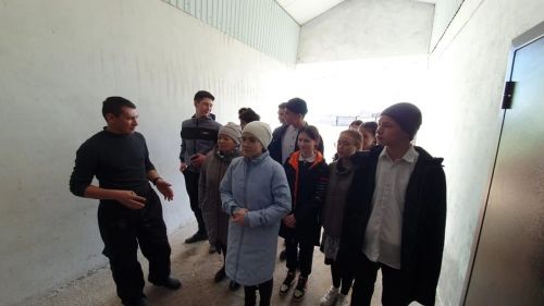 Каждый ученик рано или поздно встает перед проблемой выбора профессии