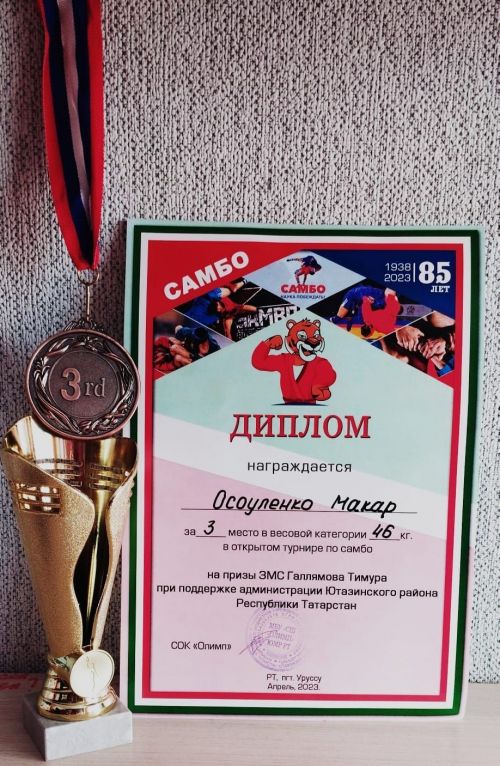 В СШ «Олимп» состоялся открытый турнир по самбо