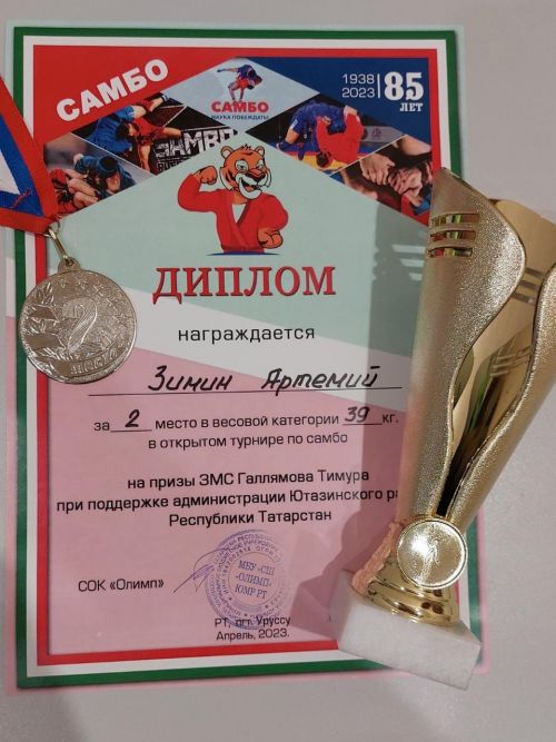 В СШ «Олимп» состоялся открытый турнир по самбо