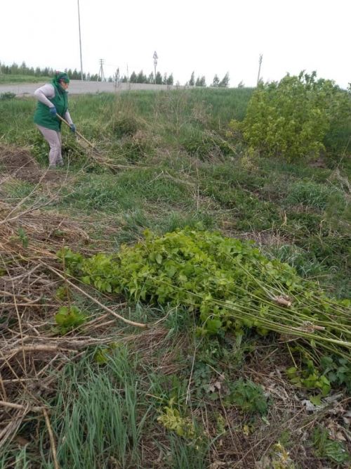 В селе Абсалямово прошел субботник по очистке придорожной полосы
