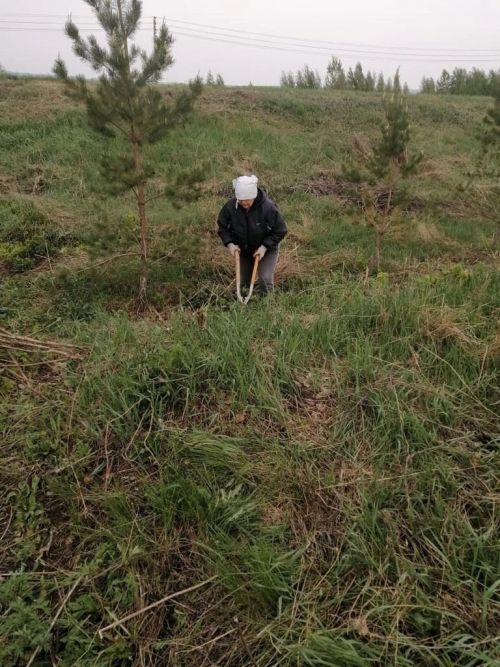 В селе Абсалямово прошел субботник по очистке придорожной полосы