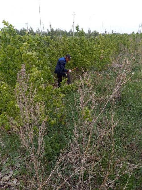 В селе Абсалямово прошел субботник по очистке придорожной полосы