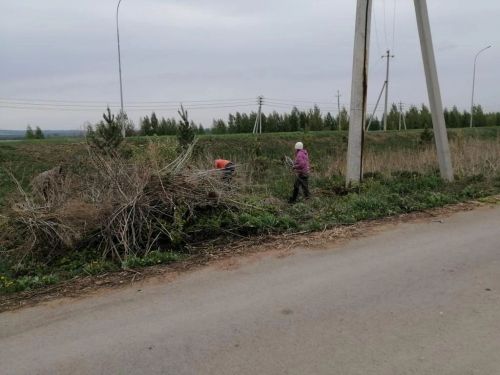 В селе Абсалямово прошел субботник по очистке придорожной полосы